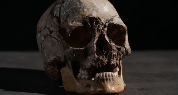 <b>3D打印重構(gòu)激起了對古代英國人的啟示</b>
